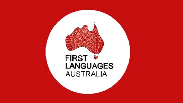 Funding for priority languages support
