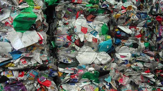 Packaging reforms will reduce costs and boost recycling for councils